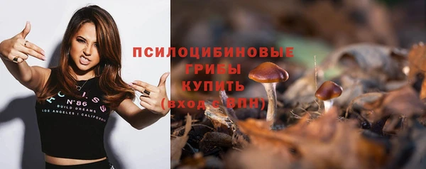 прущий лед Осташков