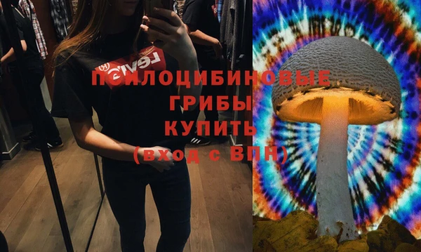 ALPHA PVP Остров