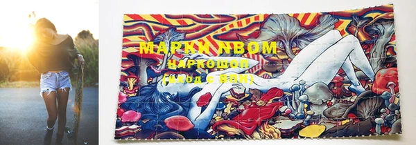 прущая мука Осинники