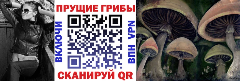 Галлюциногенные грибы ЛСД  Купить закладки  Гусев 