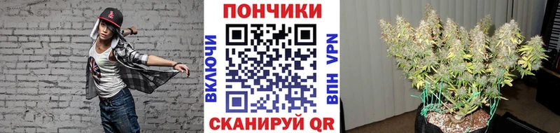 Марихуана Ganja  Купить закладки  Гусев 
